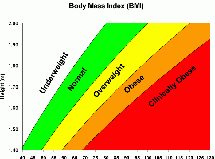 Cara cek berat badan ideal menggunakan kalkulator bmi