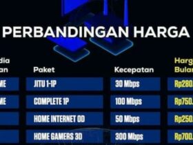 Harga Langganan Starlink di Indonesia dan Cara Berlangganan