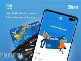 Cara buka blokir brimo akibat salah pin tanpa ke kantor cabang