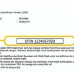 Cara mendapatkan efin online tanpa perlu ke kantor pajak