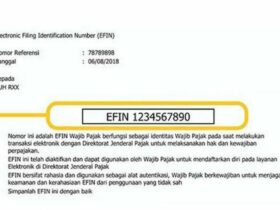 Cara mendapatkan efin online tanpa perlu ke kantor pajak